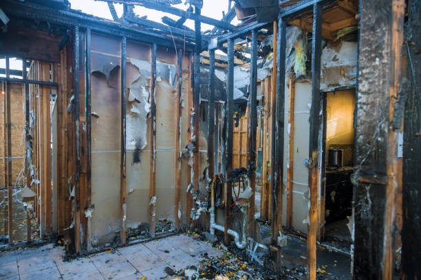 Professional Fire Damage Removal technician working in Picayune, MS